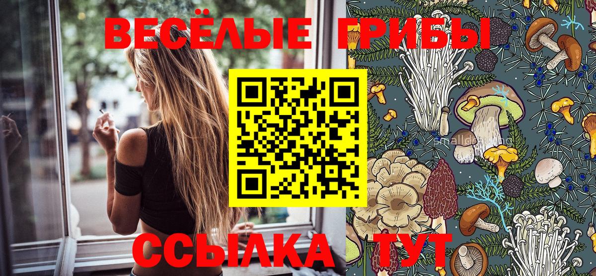 Галлюциногенные грибы Cubensis Орёл