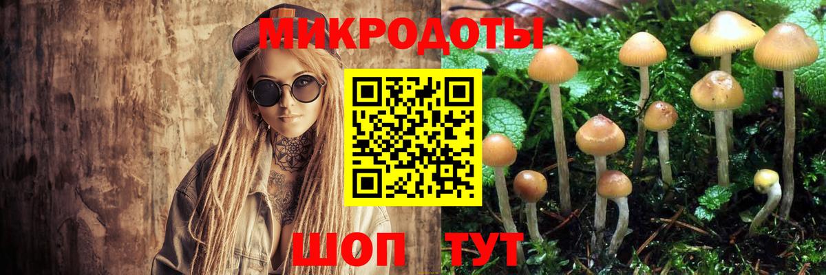 Галлюциногенные грибы прущие грибы  Галлюциногенные грибы прущие грибы  Орёл  Вход с VPN 